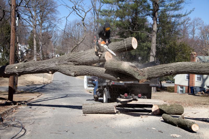 Apple Tree Removal in Bucks County, PA