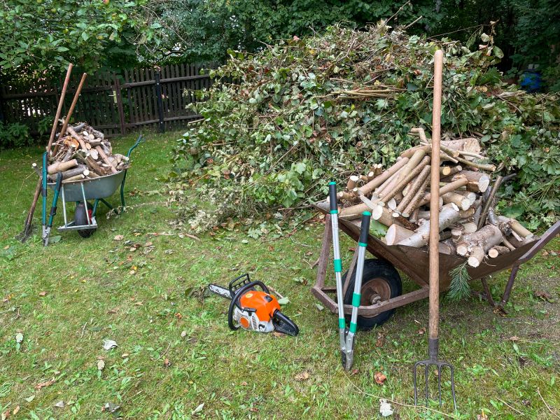 Tree Removal And Planting Service