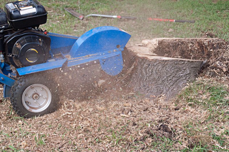 Stump Grinding Equipment