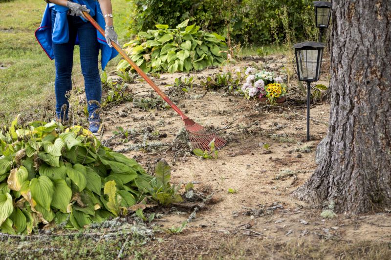 Undergrowth Removal in Cumming, GA