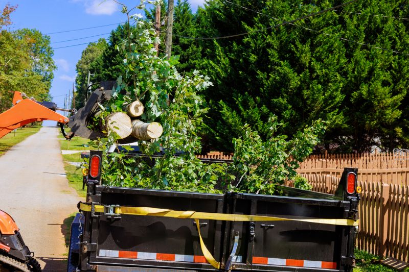 Tree Removal and Planting Service